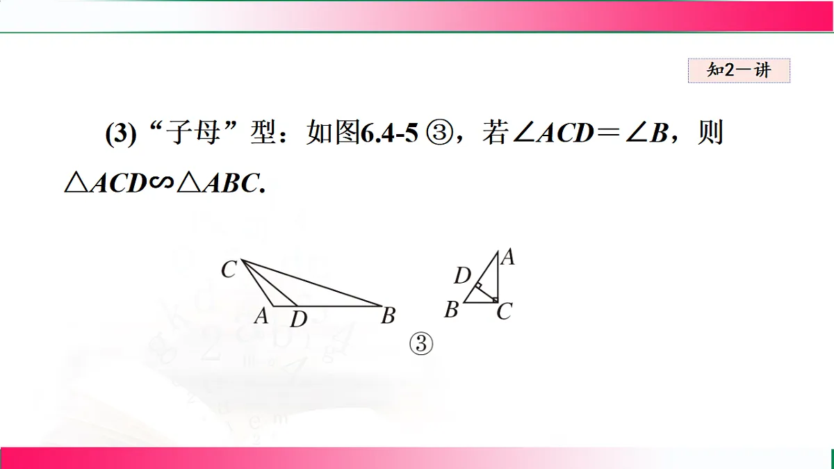 17769563第5页