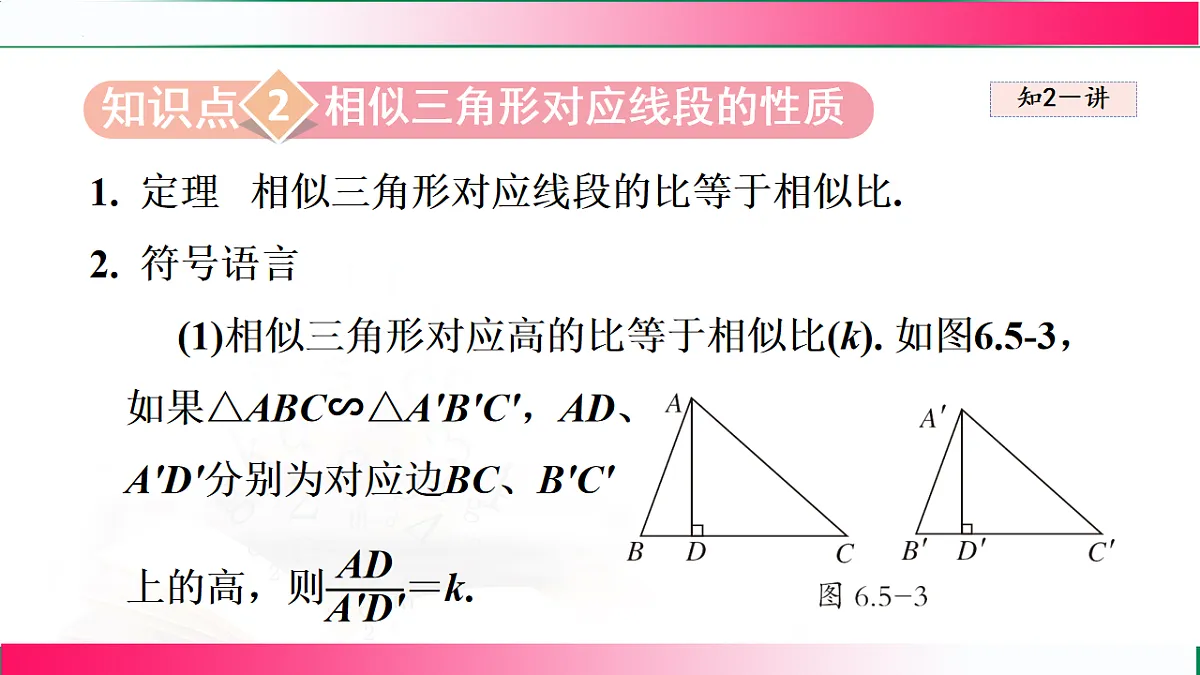 17769568第3页