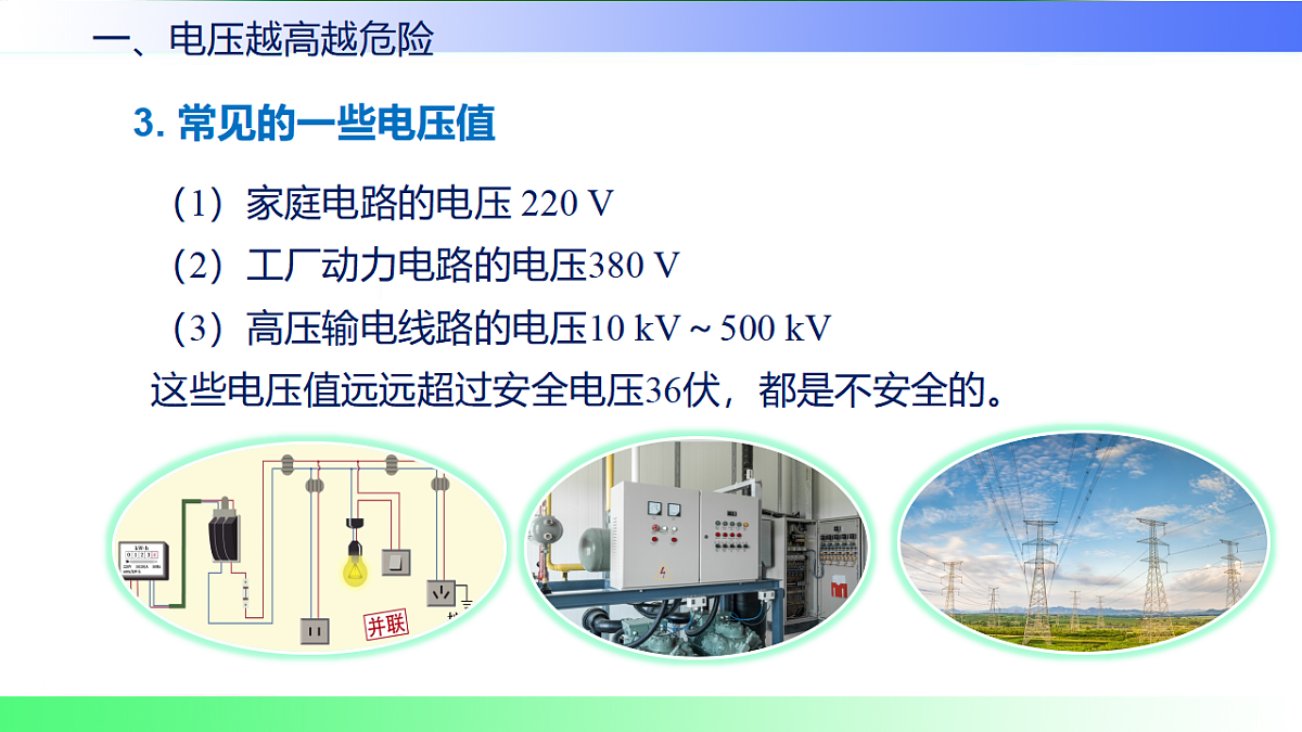 17769705第5页