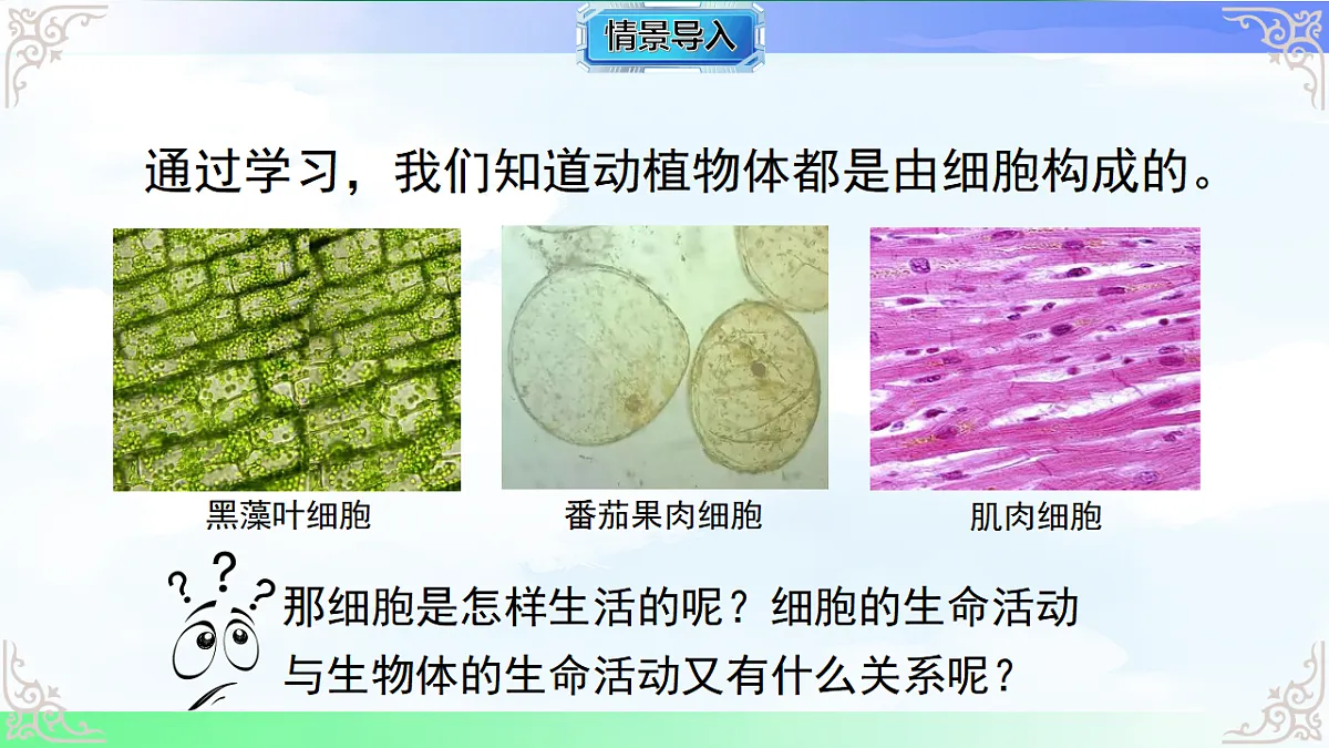 17769736第2页