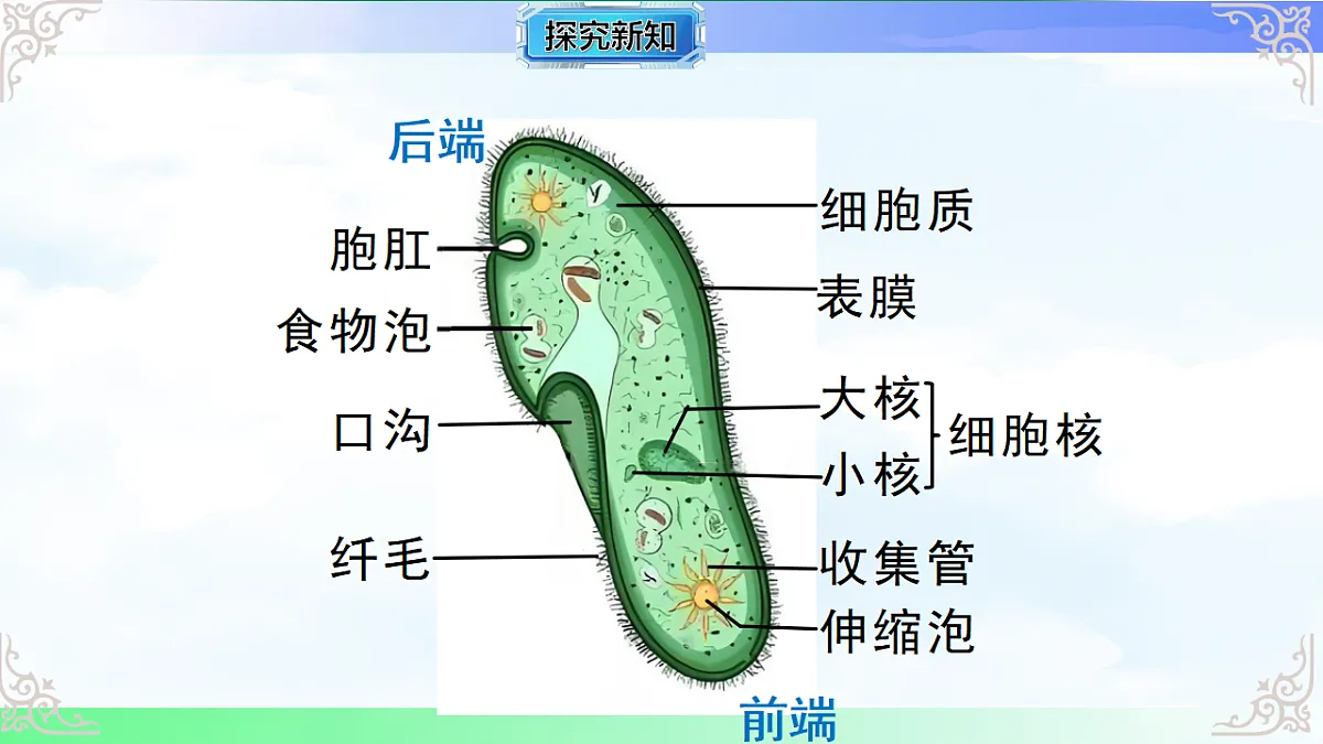 17769736第3页