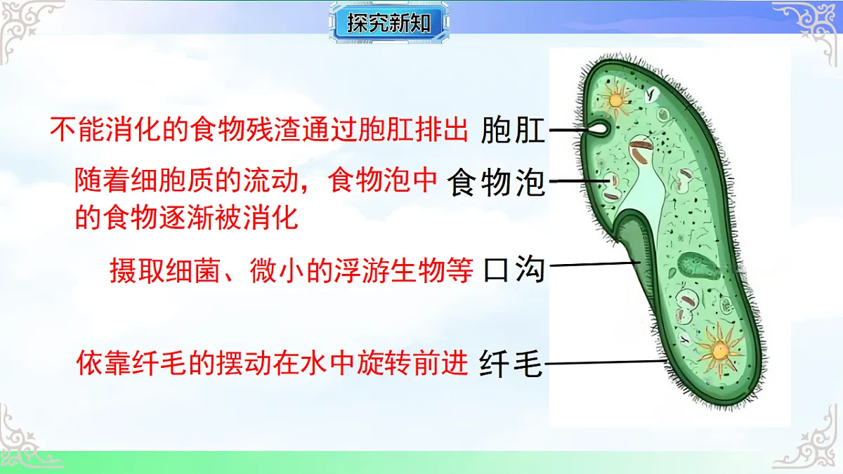 17769736第4页