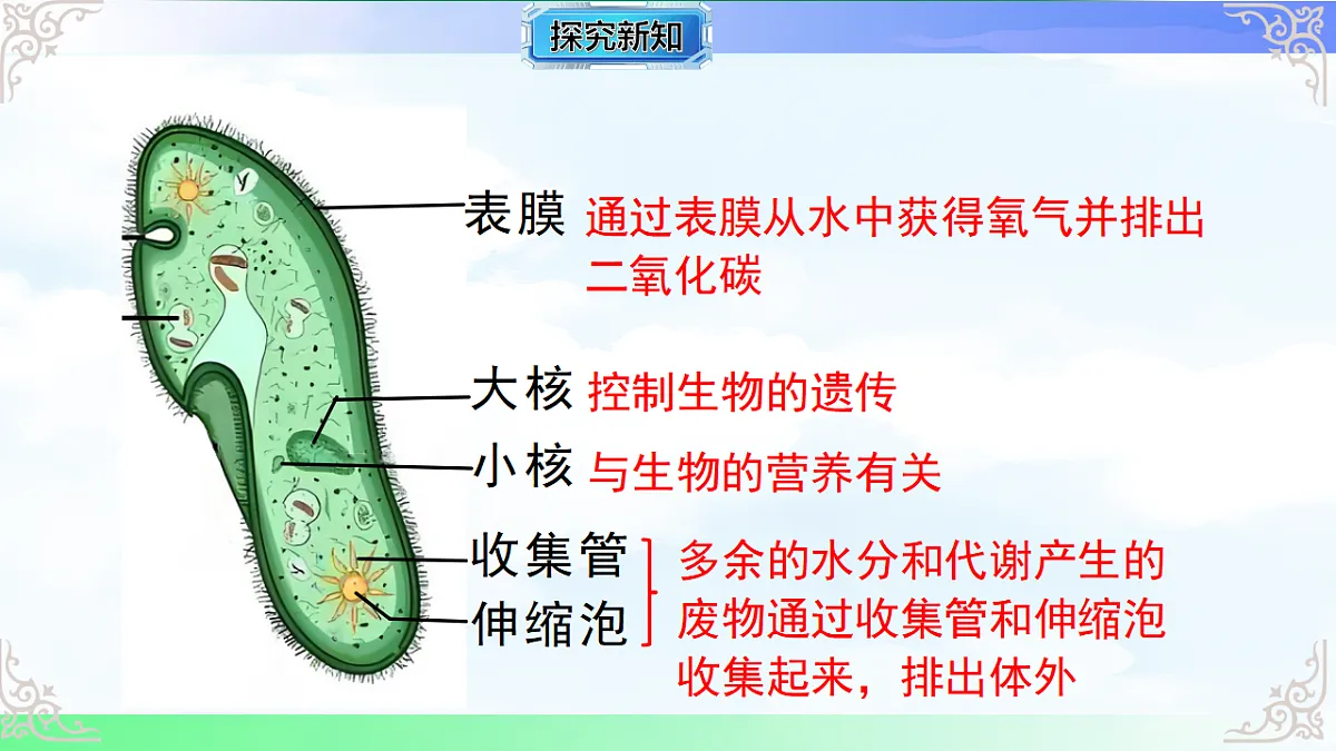 17769736第5页