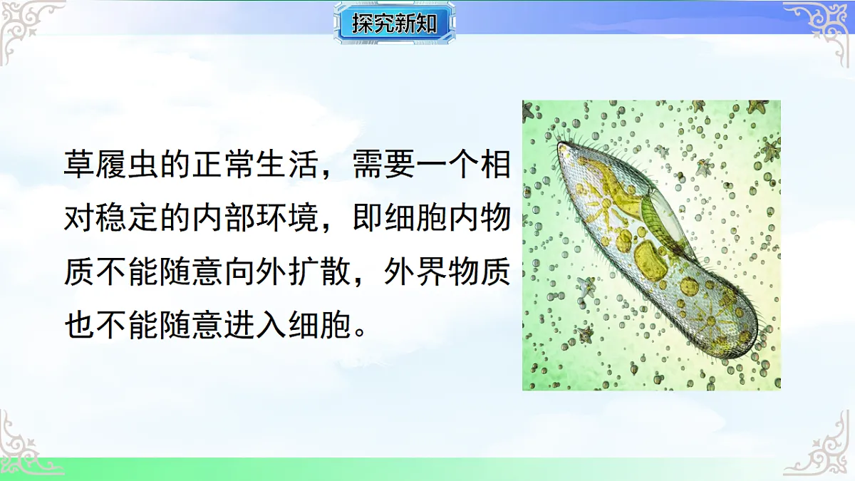 17769736第6页