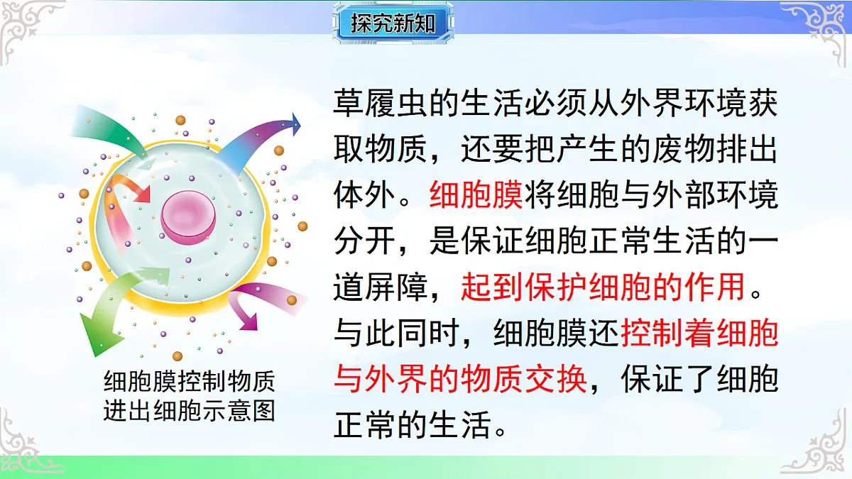 17769736第7页