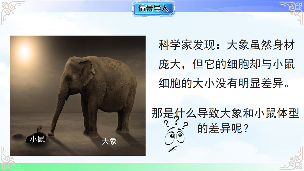 17769737第2页