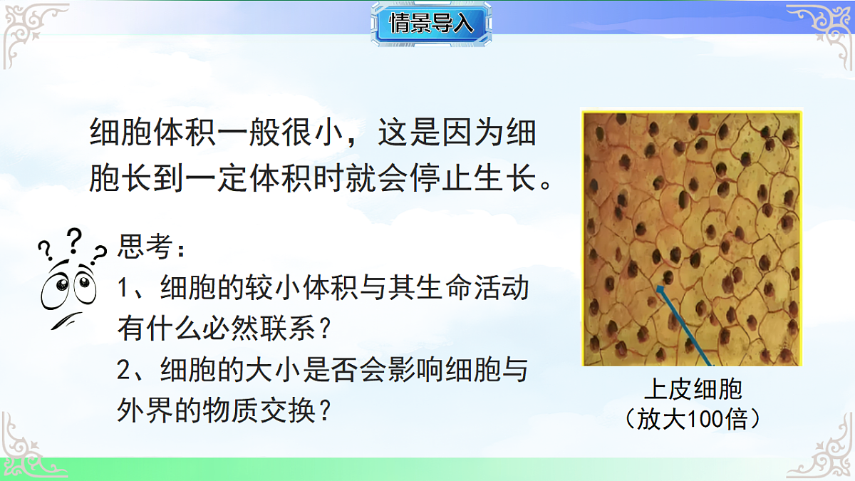 17769737第3页