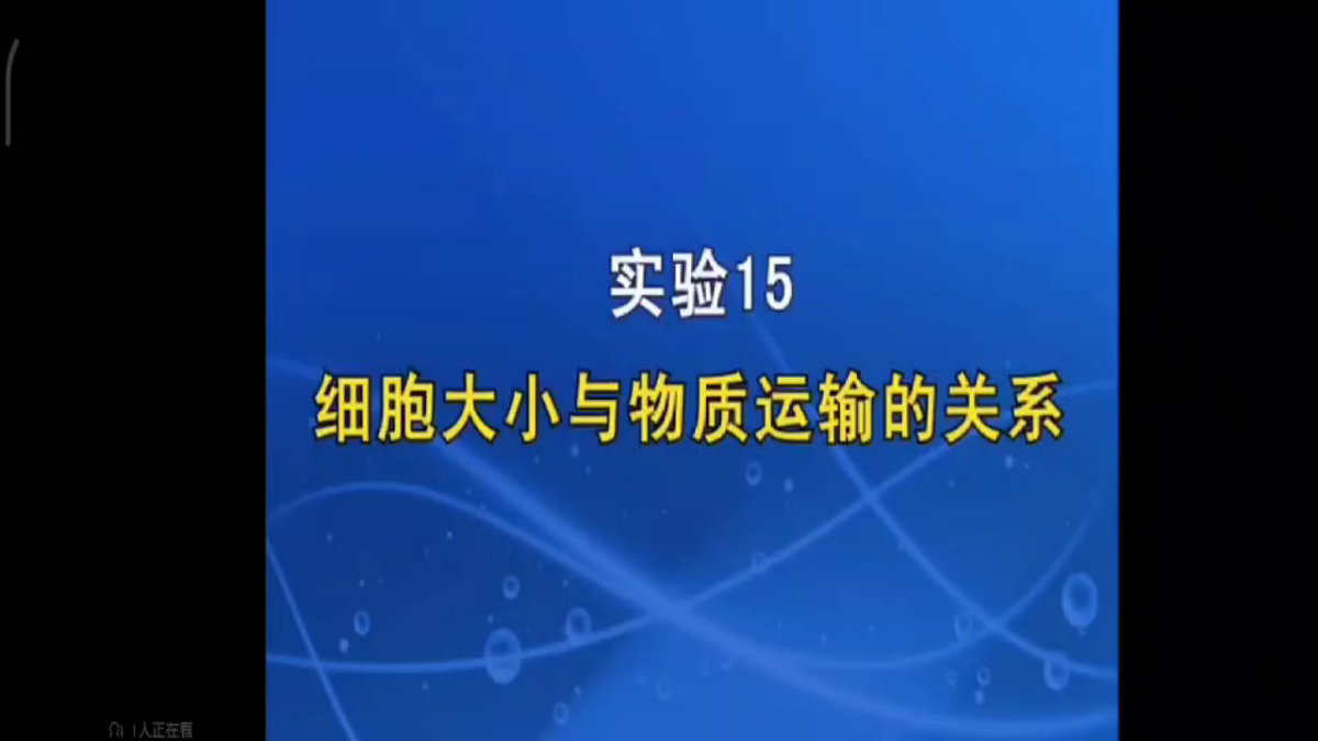 17769737第5页