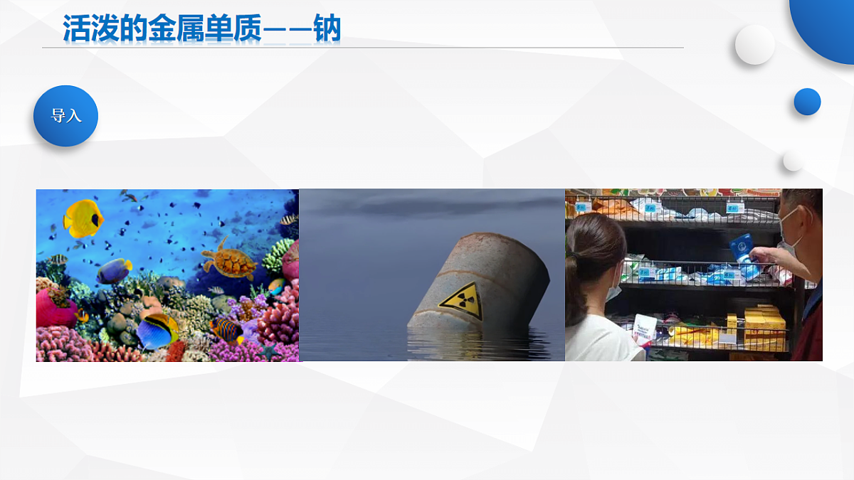 17770250第4页