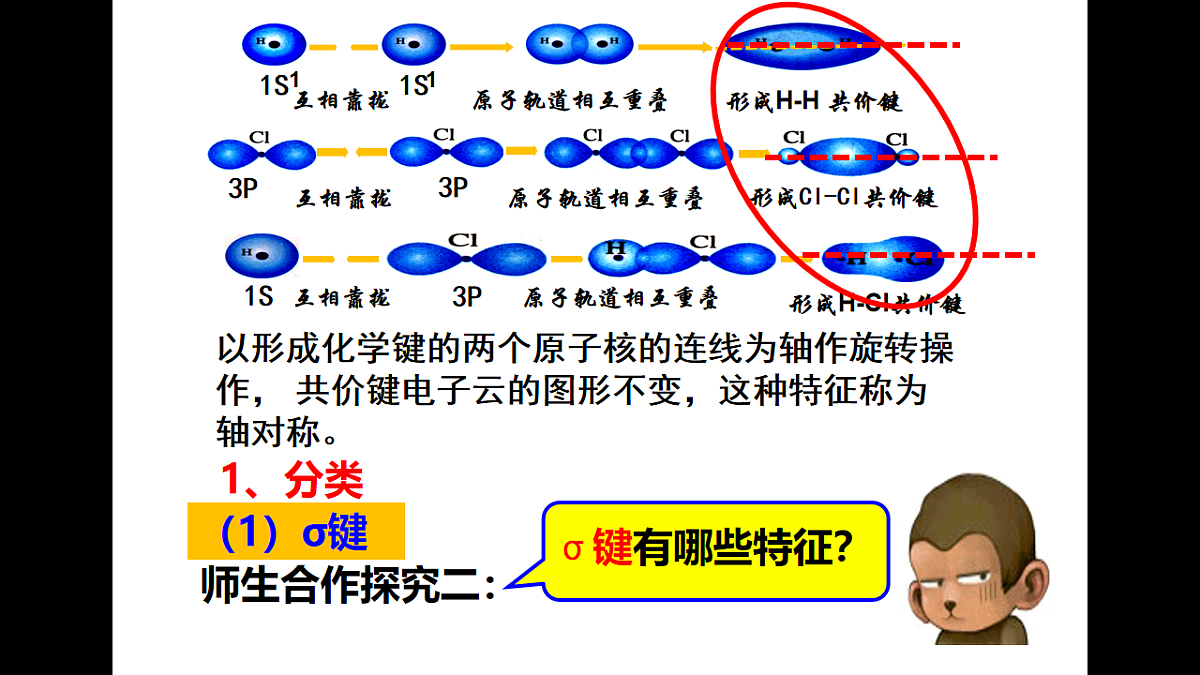 17770253第8页
