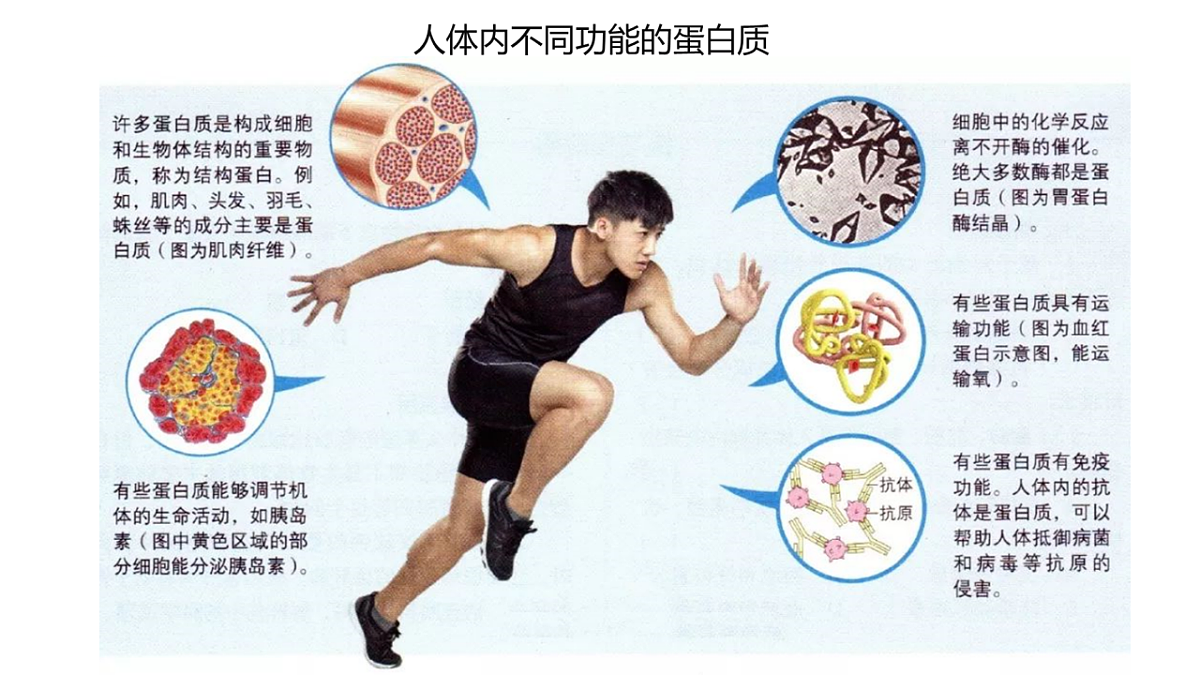 17770257第2页