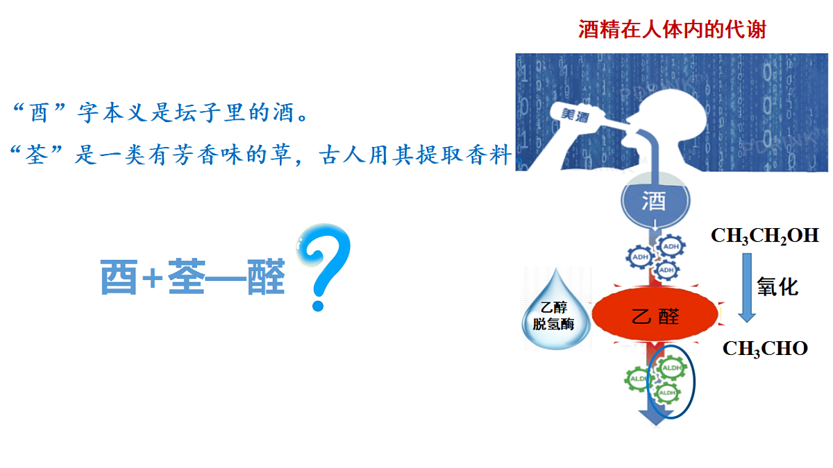 17770489第2页