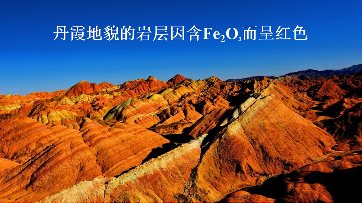 17770493第5页