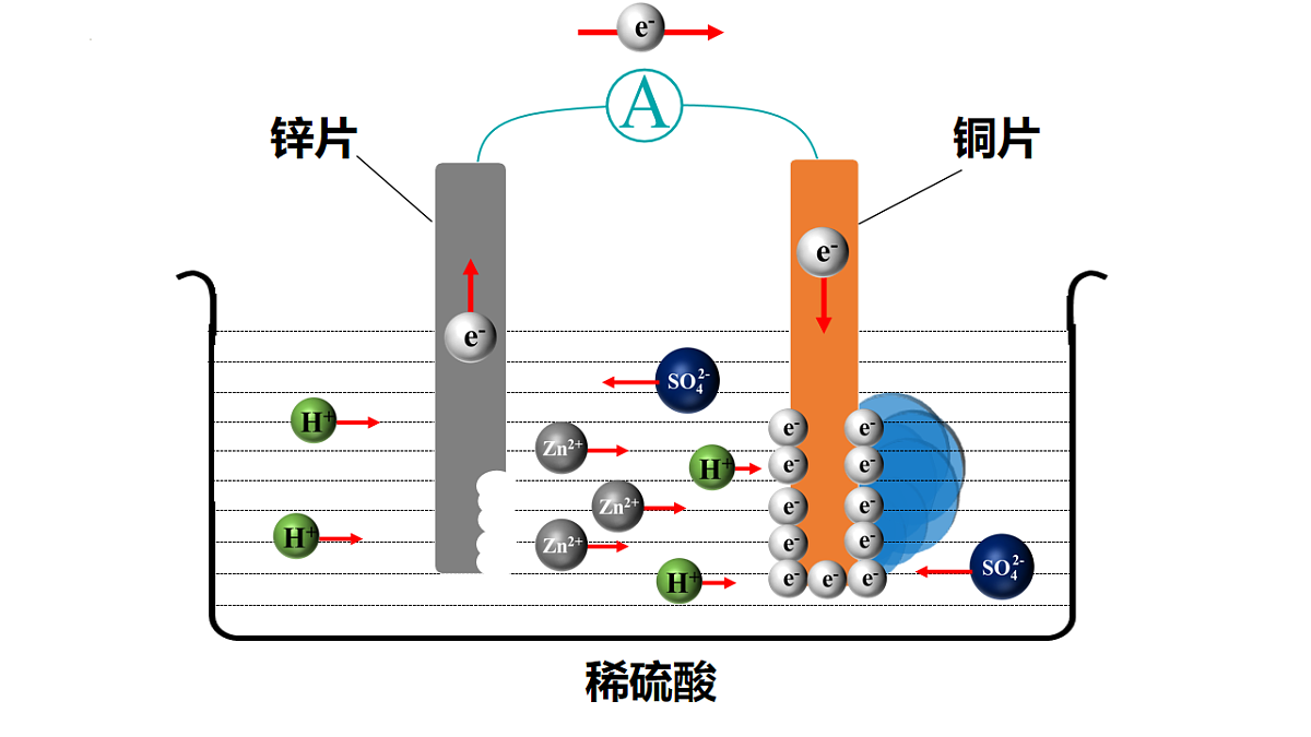 17770495第8页