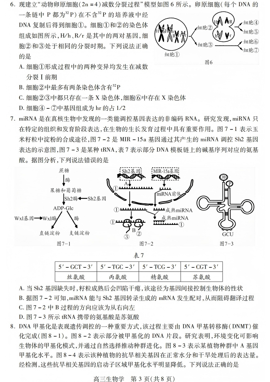生物试卷第3页