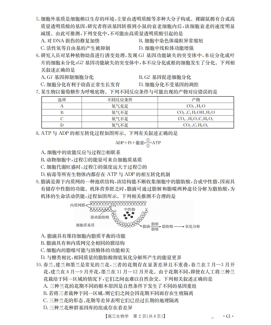 辽宁省部分学校2026届高三上学期12月联考（26-162C）生物第2页