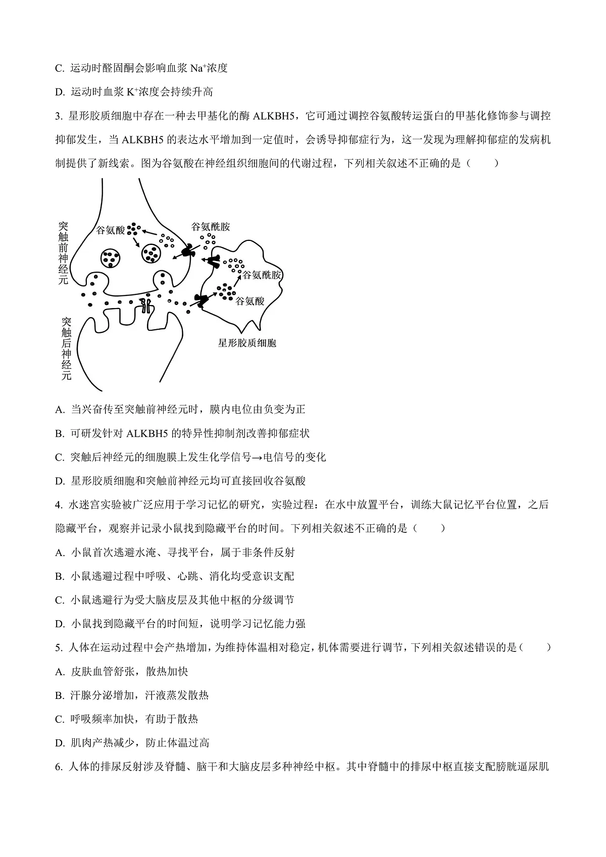 北京市朝阳区2024-2025学年高二上学期1月期末质量检测生物试卷 Word版无答案第2页