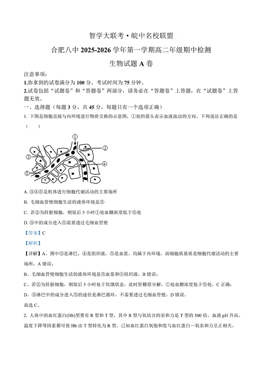 安徽省智学大联考皖中名校联盟（合肥市第八中学）2025-2026学年高二上学期期中考试生物试题A Word版含解析第1页