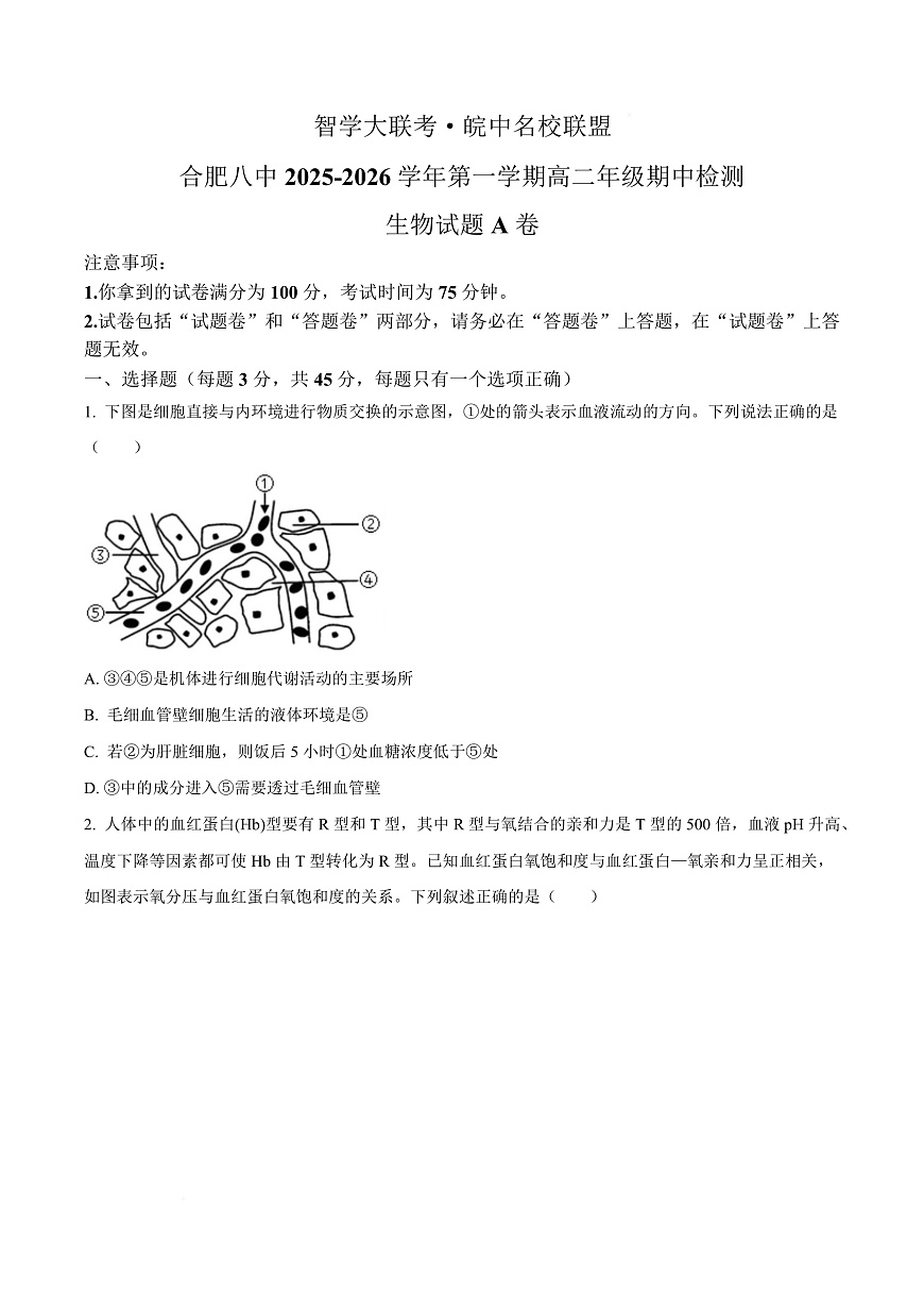 安徽省智学大联考皖中名校联盟（合肥市第八中学）2025-2026学年高二上学期期中考试生物试题A Word版无答案第1页