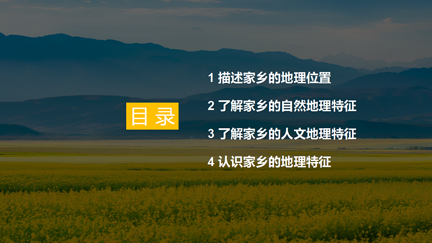 17772032第3页