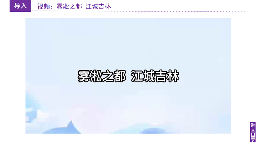 17772032第5页