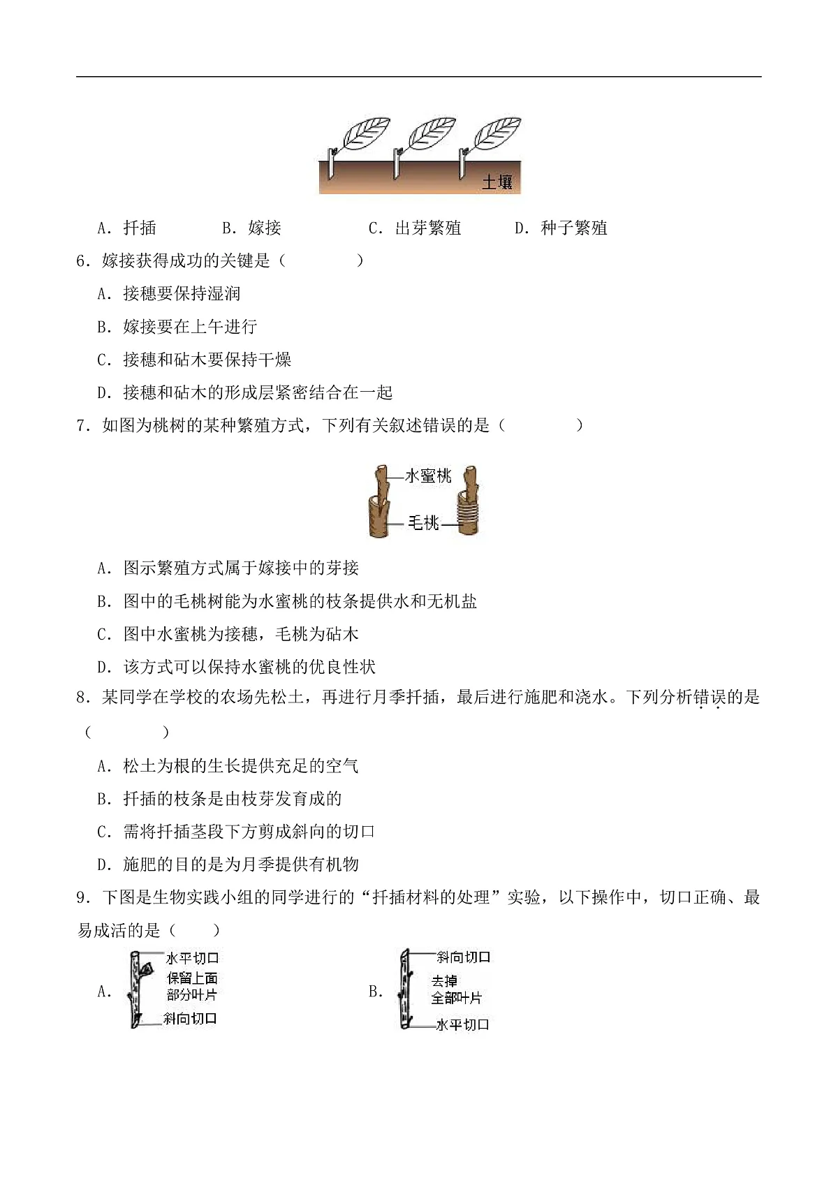 6.1.1 无性生殖（分层作业）（原卷版）第3页