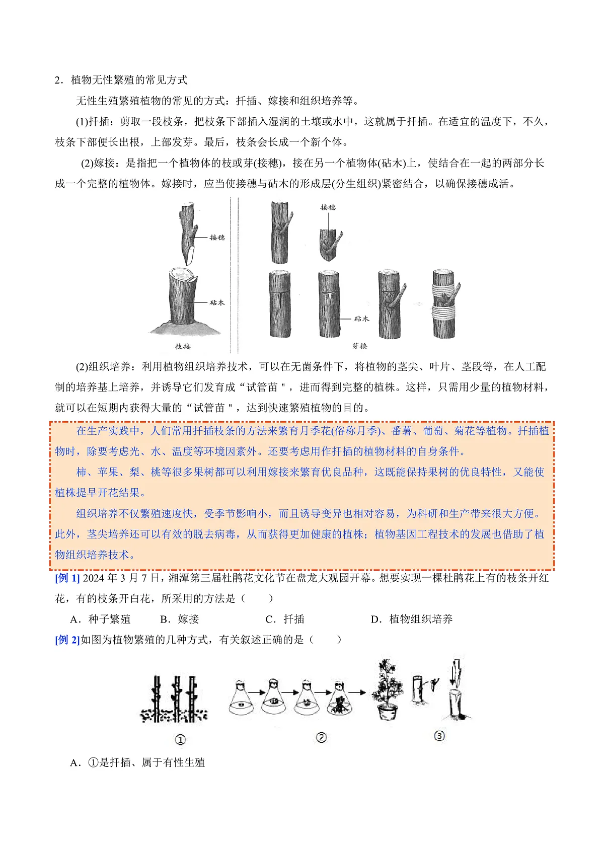 6.1.1 无性生殖（提升讲义）（原卷版）第3页