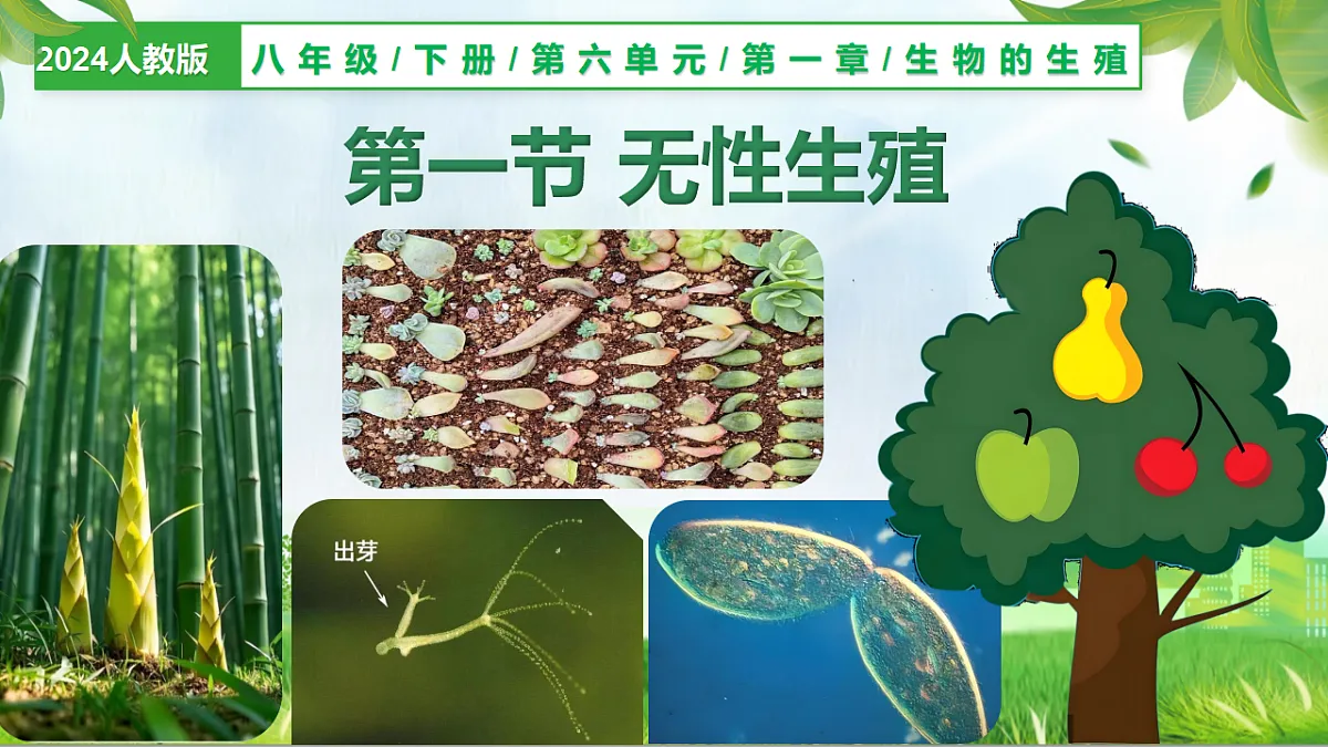6.1.1 无性生殖（教学课件）生物新教材人教版八年级下册第1页