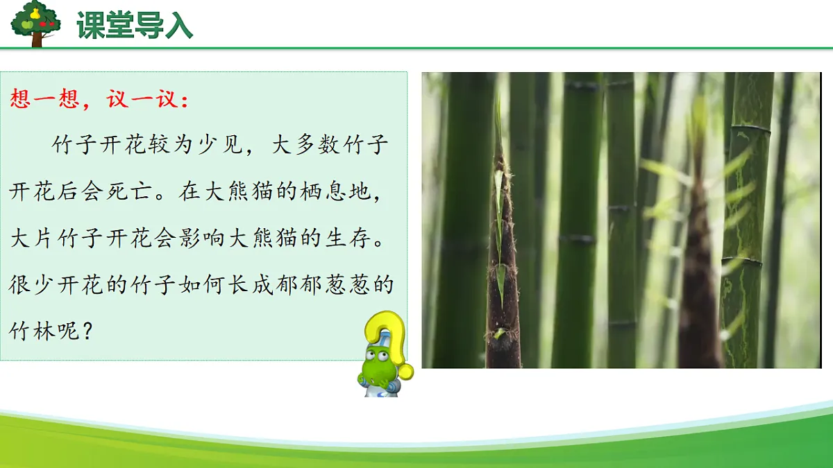 6.1.1 无性生殖（教学课件）生物新教材人教版八年级下册第5页