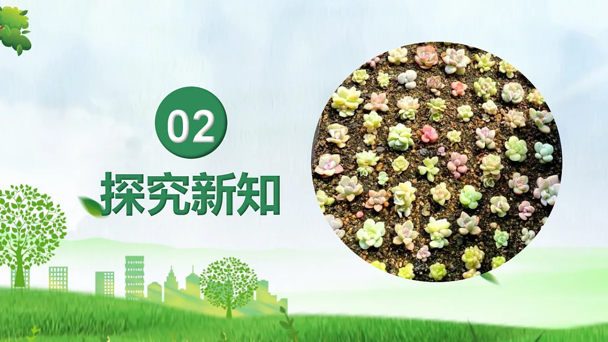 6.1.1 无性生殖（教学课件）生物新教材人教版八年级下册第6页