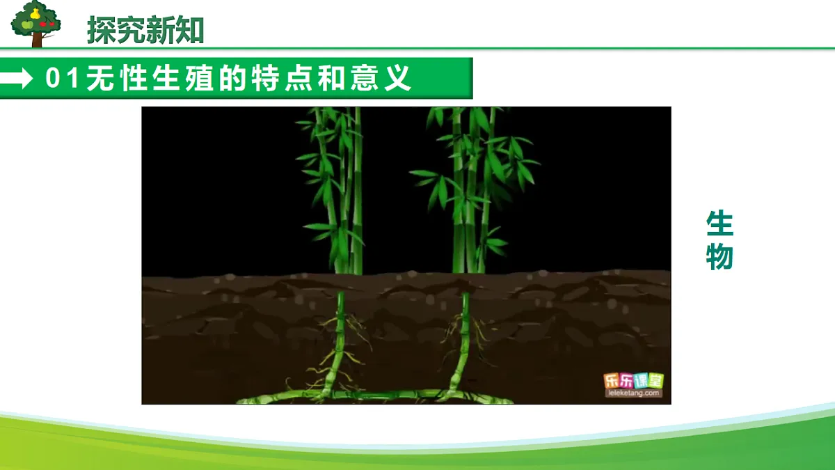 6.1.1 无性生殖（教学课件）生物新教材人教版八年级下册第7页
