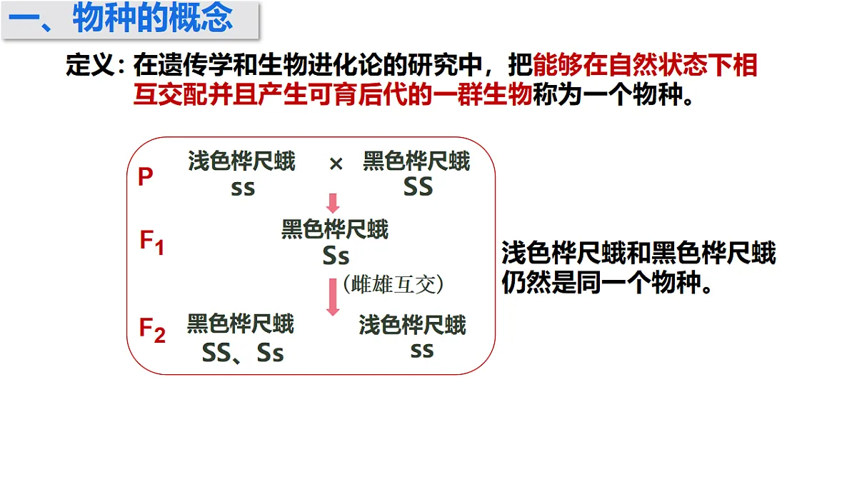 17772365第2页