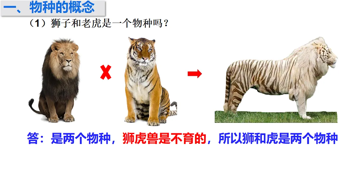 17772365第3页