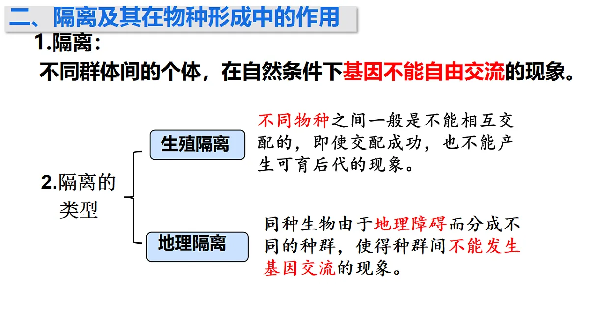 17772365第5页