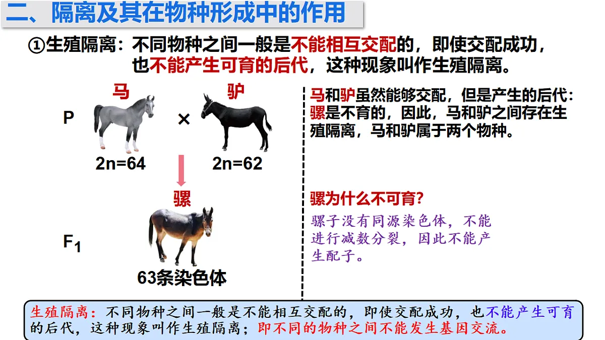 17772365第6页