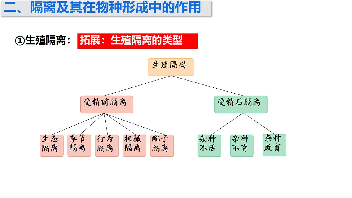 17772365第7页