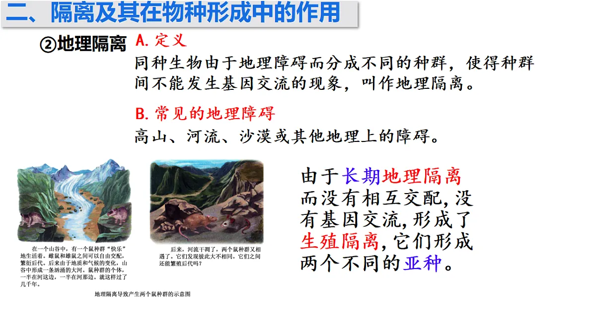 17772365第8页