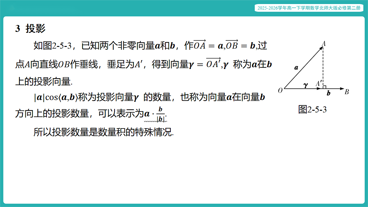 17772566第6页