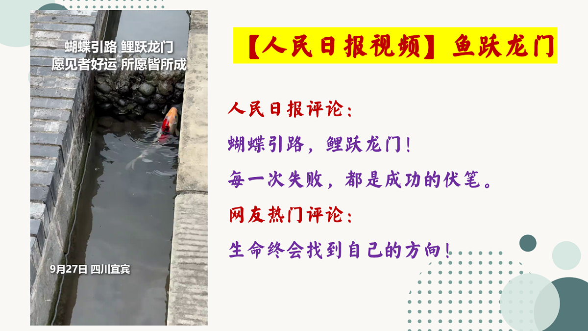 17772938第2页