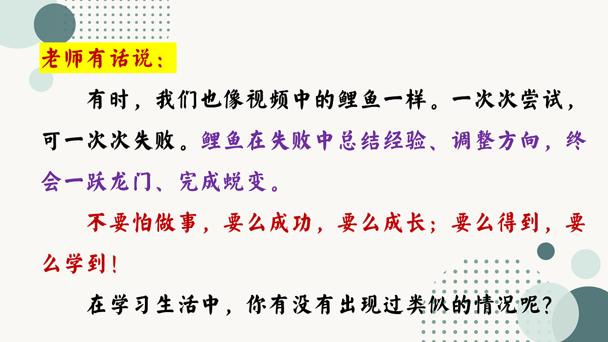 17772938第3页