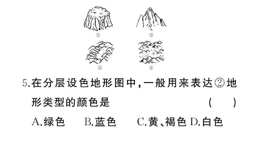 17772972第7页