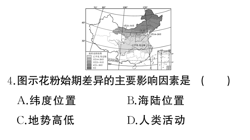 17772986第7页