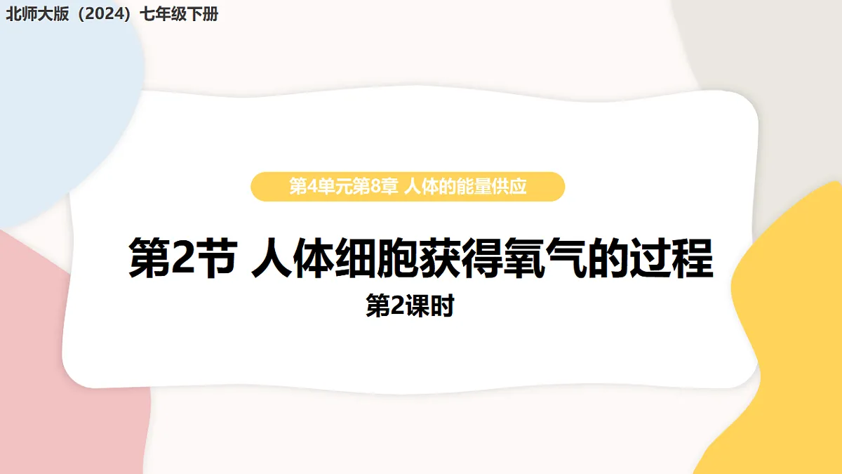 17773196第1页