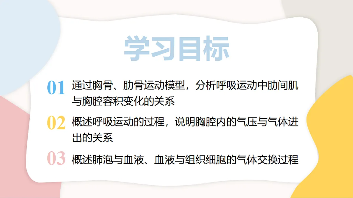 17773196第2页