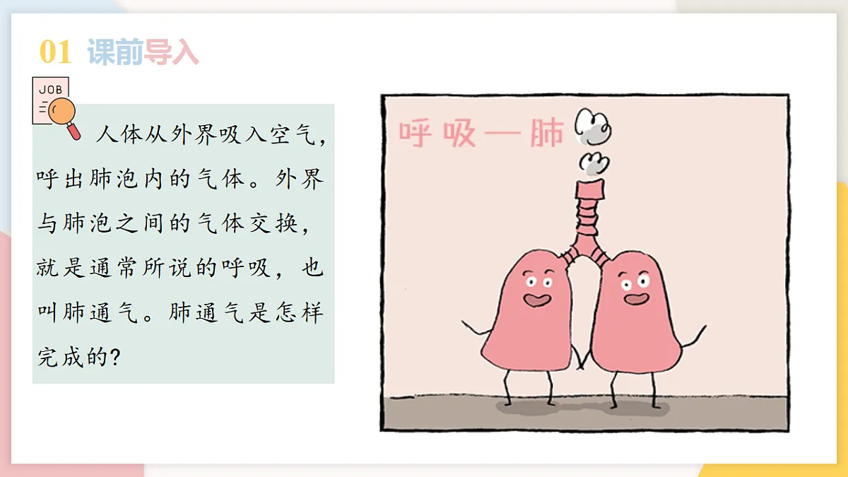 17773196第3页