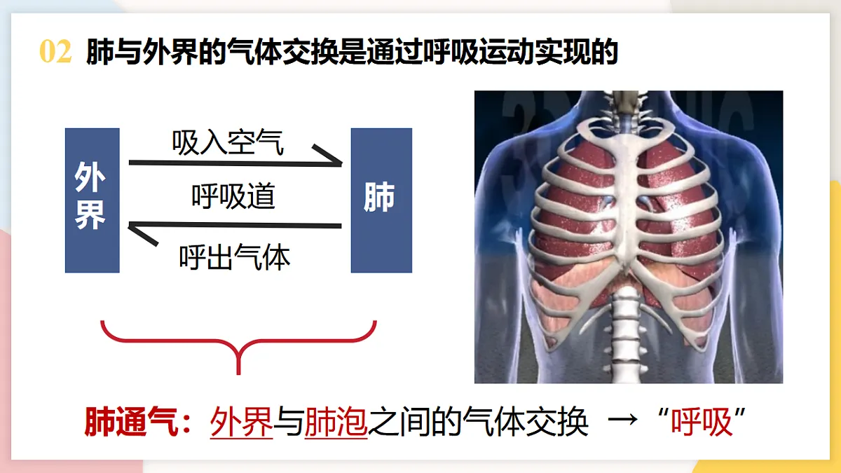 17773196第4页