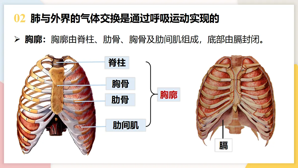 17773196第5页
