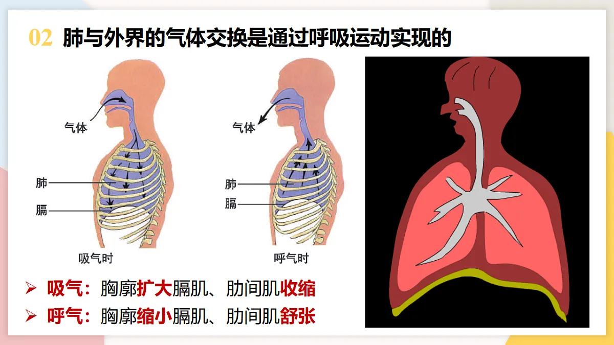 17773196第6页