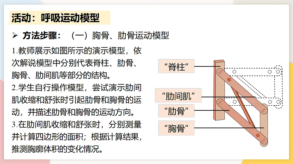 17773196第8页