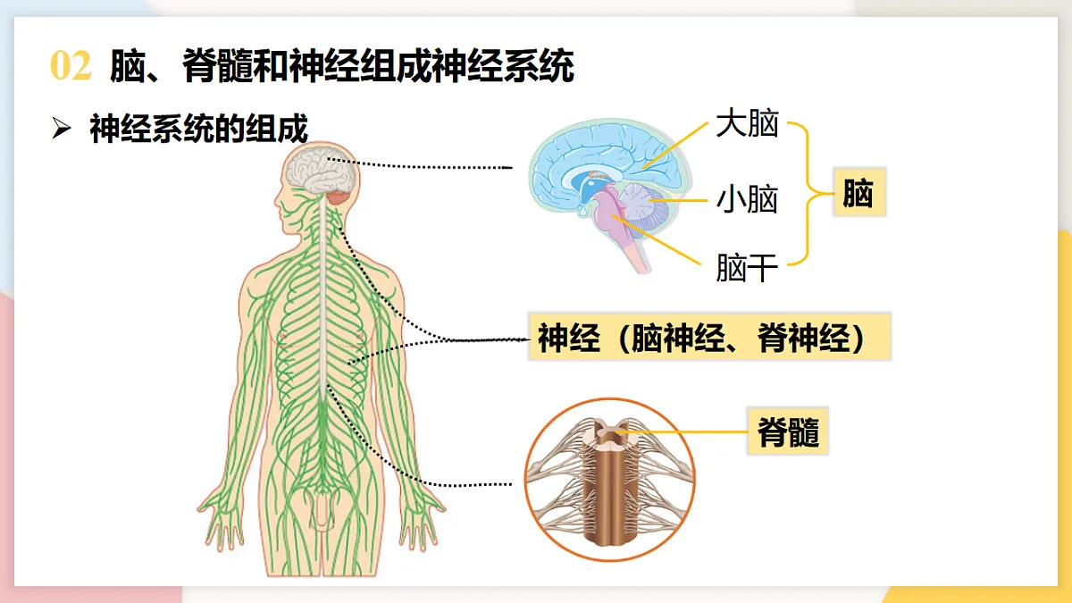 17773201第6页